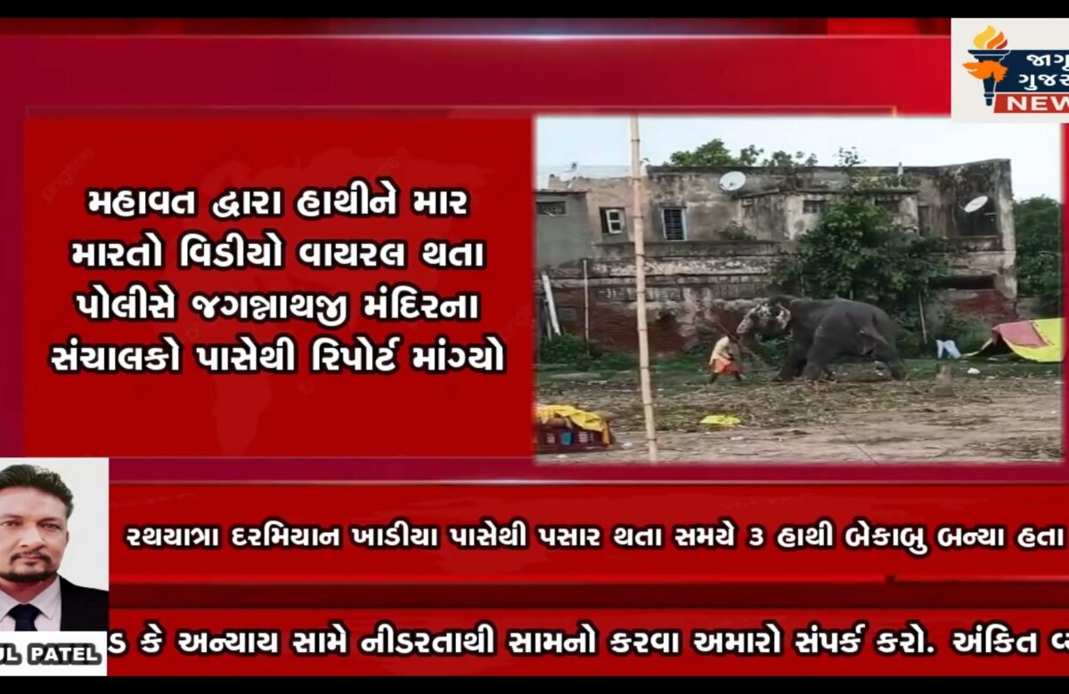 હાથીનો મહાજન હાથીને માનવતા નેવે મૂકીને માર મારતો જોવા મળ્યો!!!